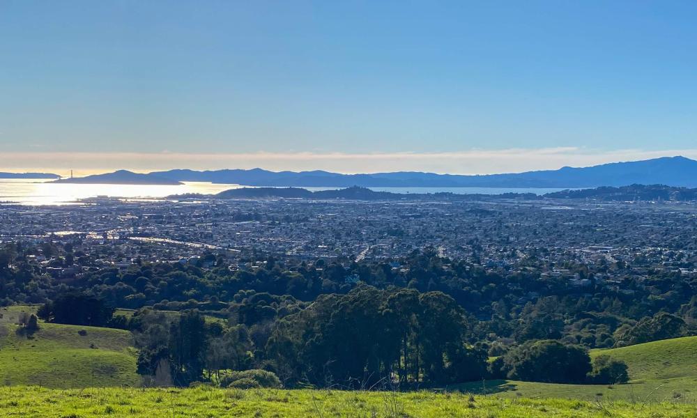 Daytime view of the San Francisco Bay looking down from the Oakland Hills with clear skies.