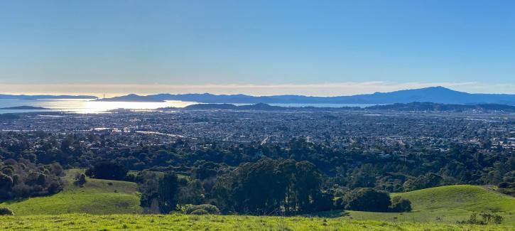 Daytime view of the San Francisco Bay looking down from the Oakland Hills with clear skies.
